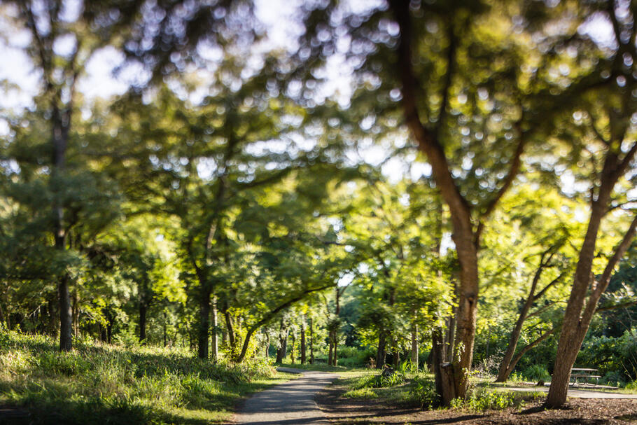 somewhere in texas with a tilt frame lens, 2015