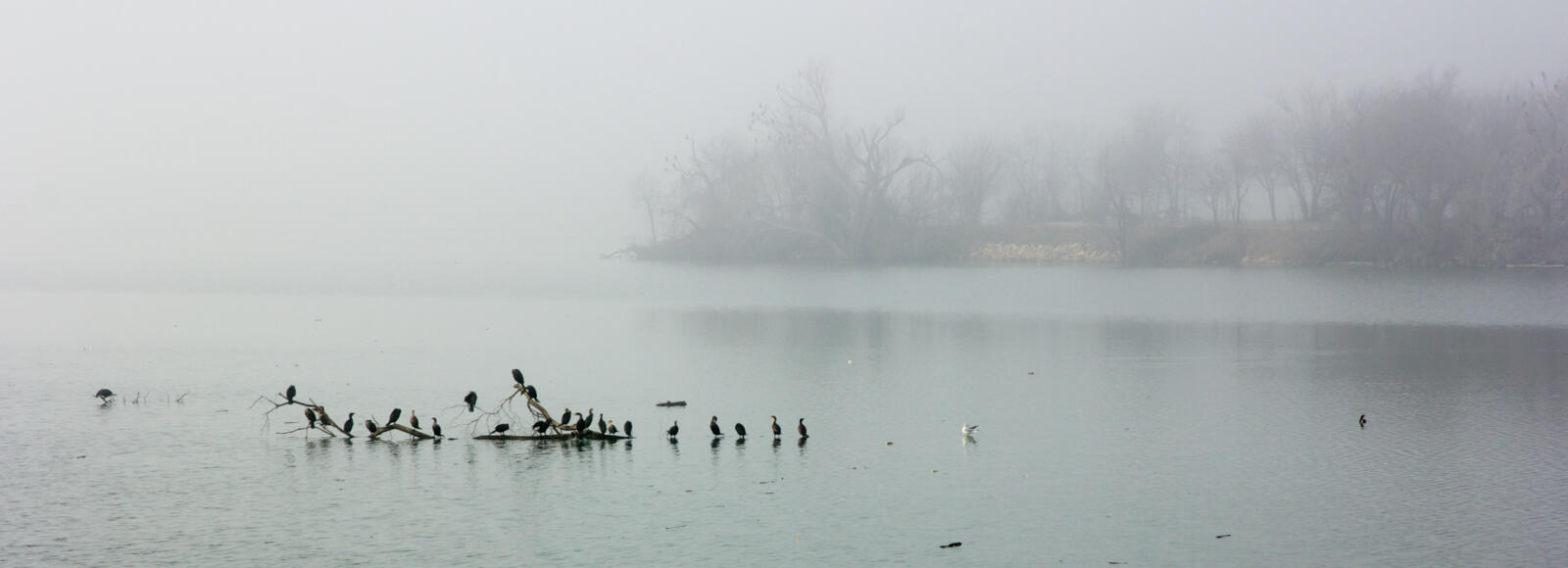 white rock lake, dallas, texas 2014
