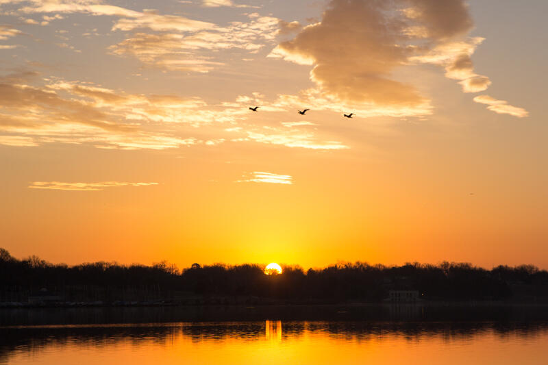 triple sunrise, 2014