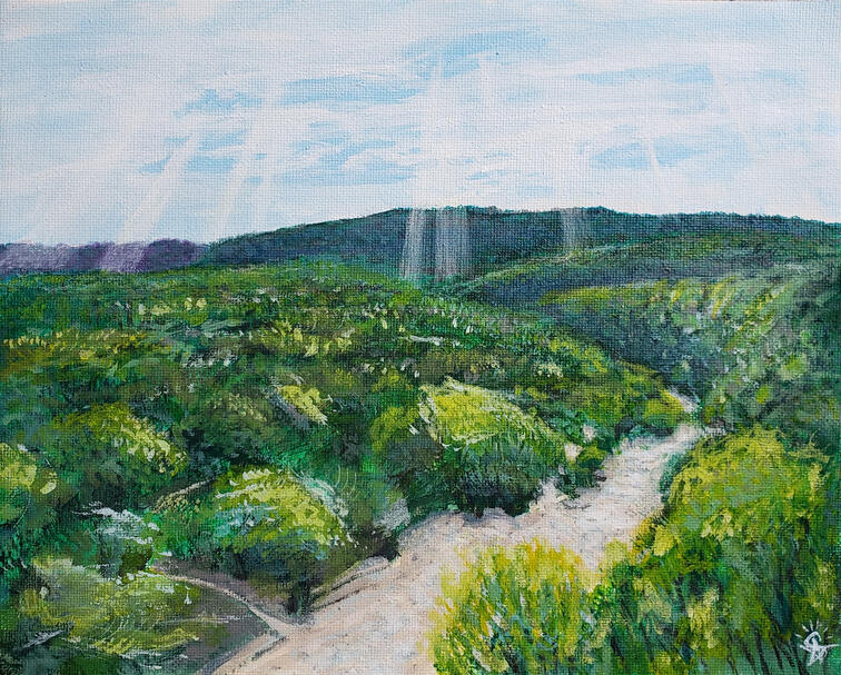 Barton Springs plein air painting, acrylic on canvas, 2020